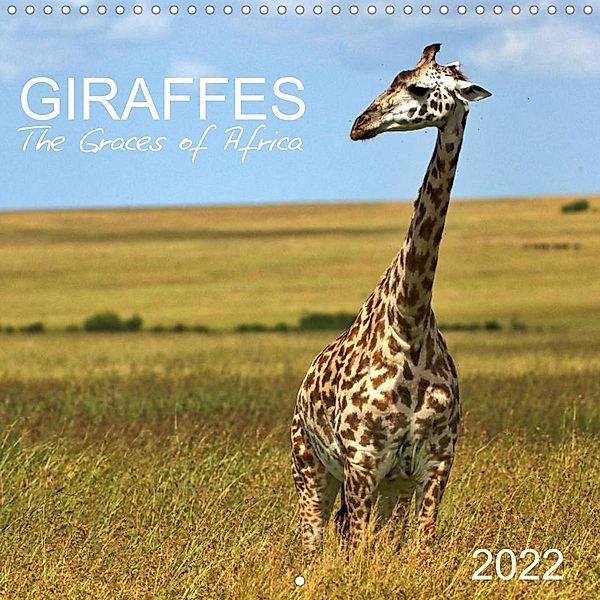 Giraffes - The Graces of Africa (Wall Calendar 2022 300 × 300 mm Square), Rainer Tewes