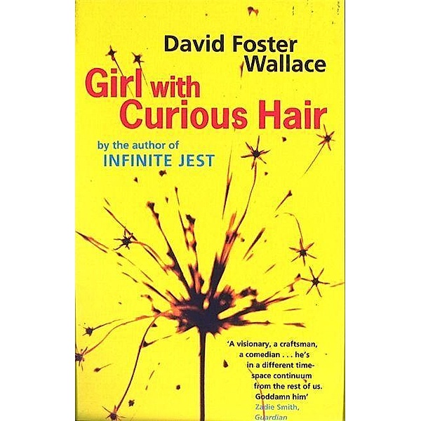 Girl with Curious Hair, David Foster Wallace