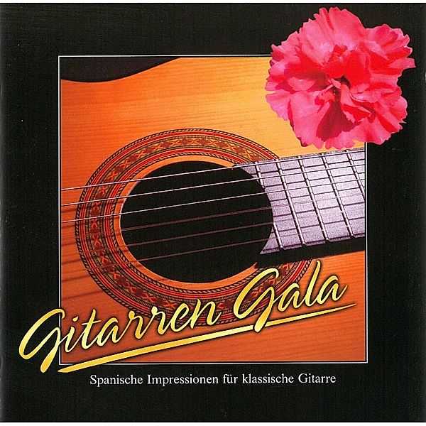 Gitarren Gala, Diverse Interpreten