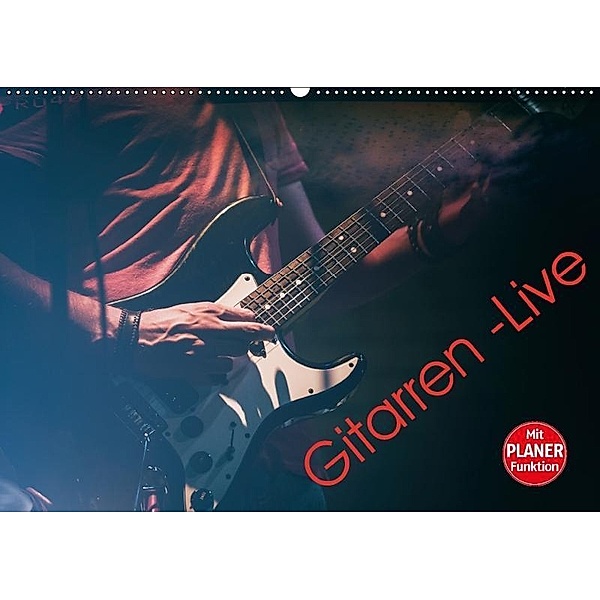 Gitarren - Live (Wandkalender 2017 DIN A2 quer), Martin Knaack