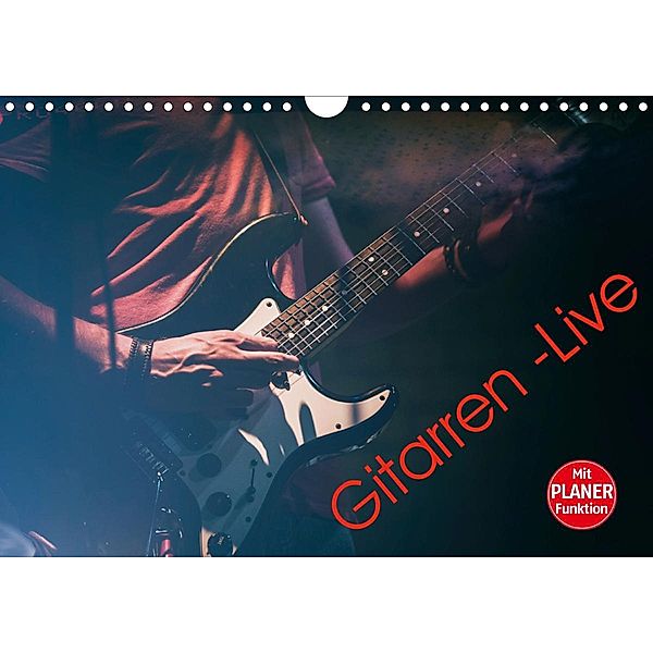 Gitarren - Live (Wandkalender 2021 DIN A4 quer), Martin Knaack