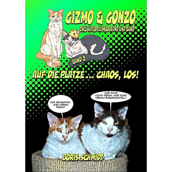 Gizmo & Gonzo - zwei Kater außer Rand und Band, Auf die Plätze...Chaos, Los!, Boris Schmidt