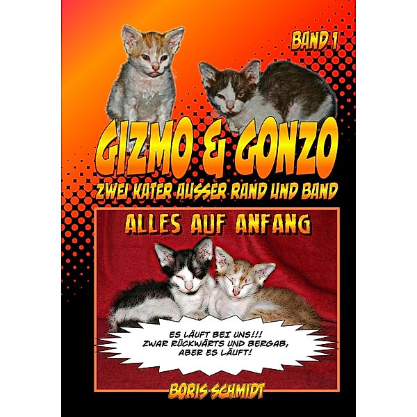 GIZMO &  GONZO - Zwei Kater außer Rand und Band / GIZMO  & GONZO  - Zwei Kater außer Rand und Band Bd.1, Boris Schmidt