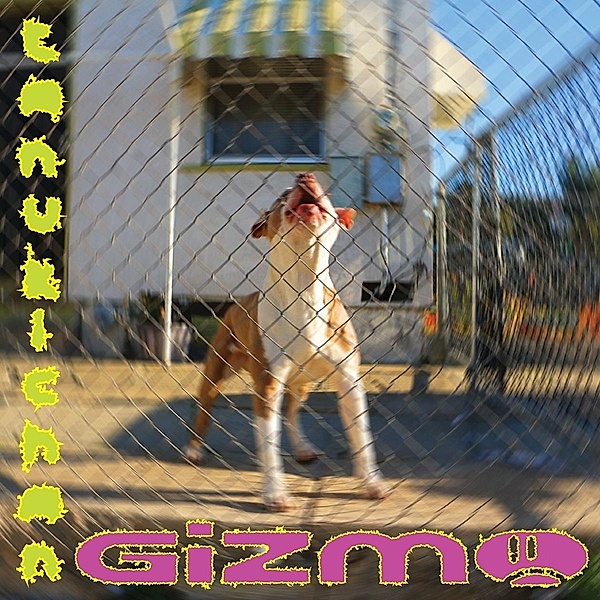 Gizmo (Vinyl), Tanukichan
