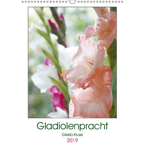 Gladiolenpracht (Wandkalender 2019 DIN A3 hoch), Gisela Kruse