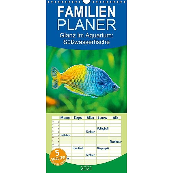 Glanz im Aquarium: Süßwasserfische - Familienplaner hoch (Wandkalender 2021 , 21 cm x 45 cm, hoch), Calvendo