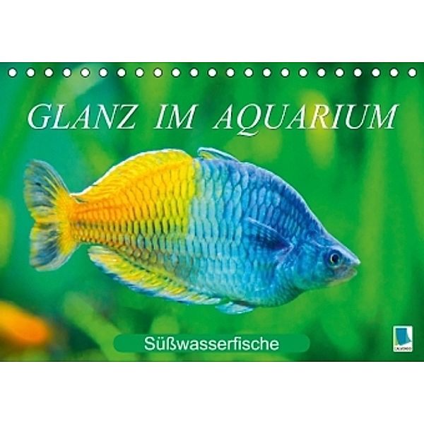 Glanz im Aquarium: Süßwasserfische (Tischkalender 2015 DIN A5 quer), Calvendo