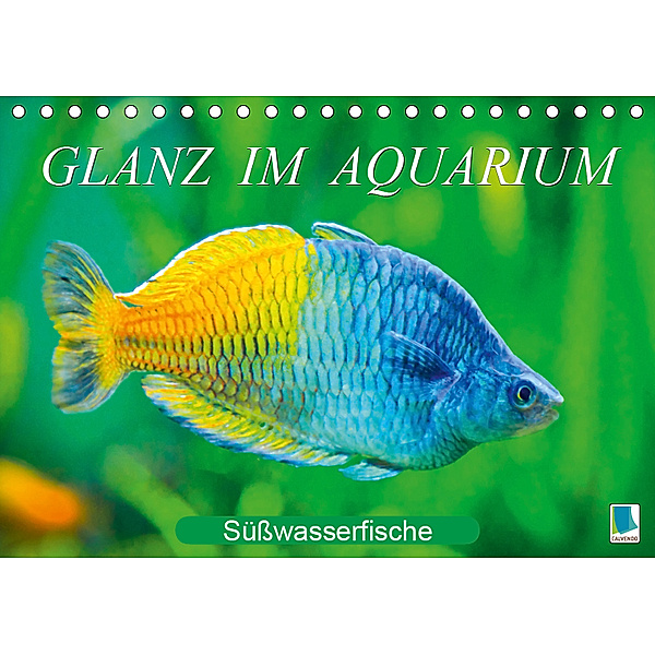 Glanz im Aquarium: Süßwasserfische (Tischkalender 2019 DIN A5 quer), Calvendo