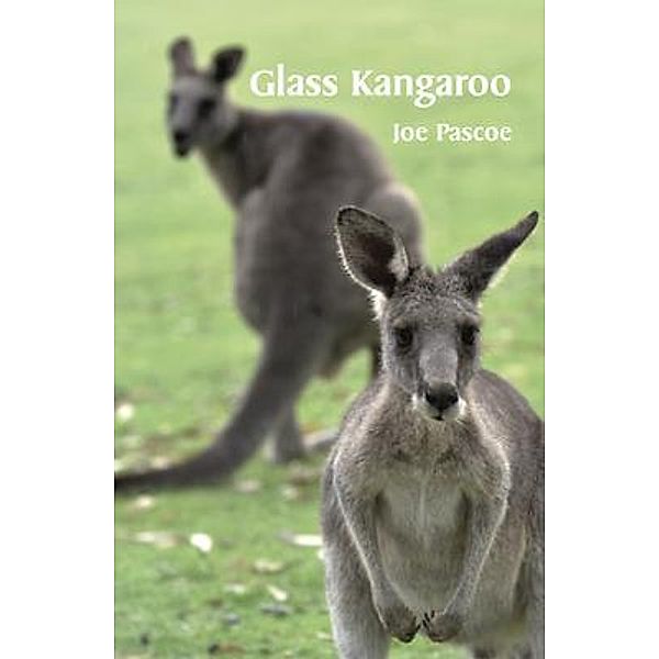 Glass Kangaroo, Joe Pascoe