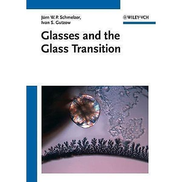 Glasses and the Glass Transition, Jürn W. P. Schmelzer, Ivan S. Gutzow, Oleg V. Mazurin, Snejana V. Todorova, Boris B. Petroff, Alexander I. Priven