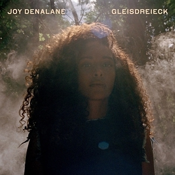 Gleisdreieck (2 LPs inkl. Download-Voucher) (Vinyl), Joy Denalane