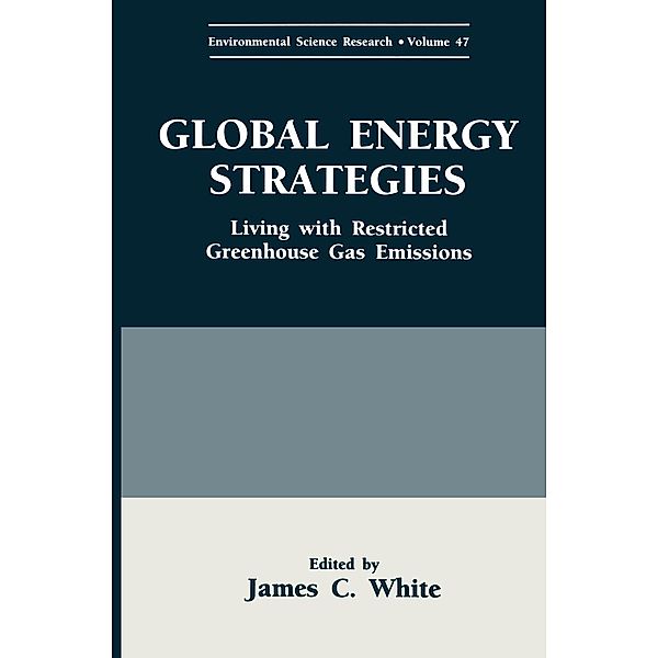 Global Energy Strategies / Environmental Science Research Bd.47