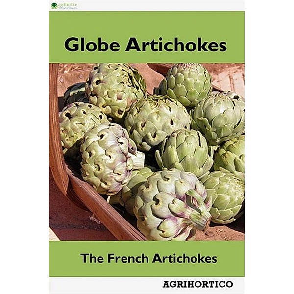 Globe Artichokes, Agrihortico Cpl