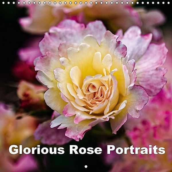 Glorious Rose Portraits (Wall Calendar 2017 300 × 300 mm Square), Dieter Meyer