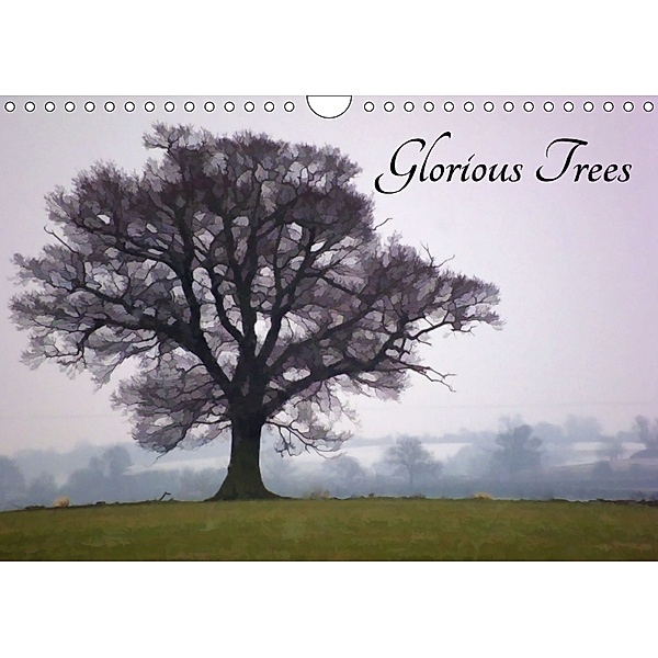 Glorious Trees (Wall Calendar 2018 DIN A4 Landscape), Lucy Antony/Loose Images