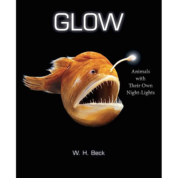 Glow / Clarion Books, W. H. Beck