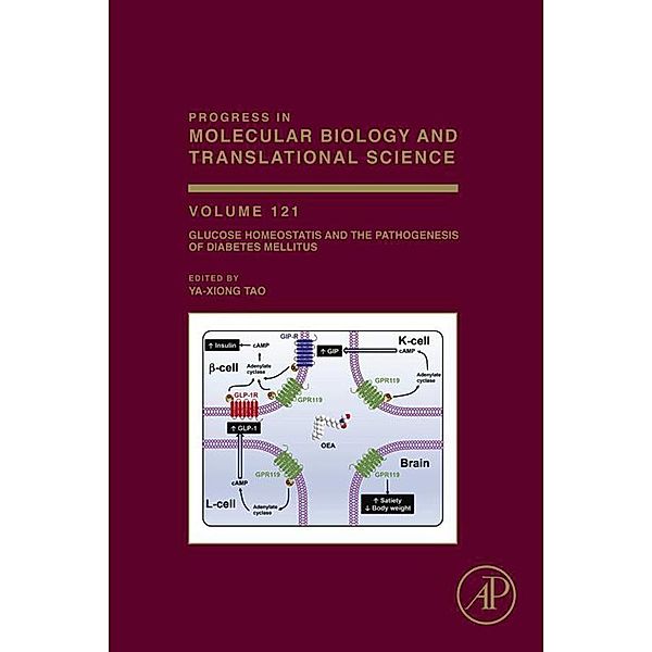 Glucose Homeostatis and the Pathogenesis of Diabetes Mellitus