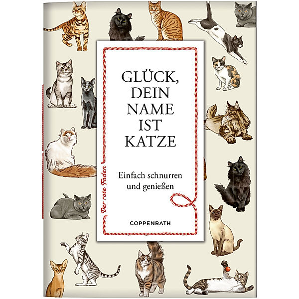 Glück, dein Name ist Katze