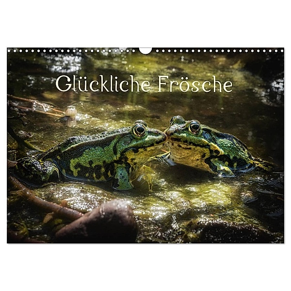 Glückliche Frösche (Wandkalender 2024 DIN A3 quer), CALVENDO Monatskalender, Kathrin Gawlik