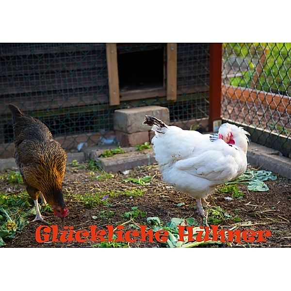 Glückliche Hühner (Tischaufsteller DIN A5 quer), Gabriela Wernicke-Marfo