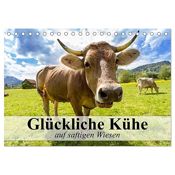 Glückliche Kühe auf saftigen Wiesen (Tischkalender 2024 DIN A5 quer), CALVENDO Monatskalender, Elisabeth Stanzer