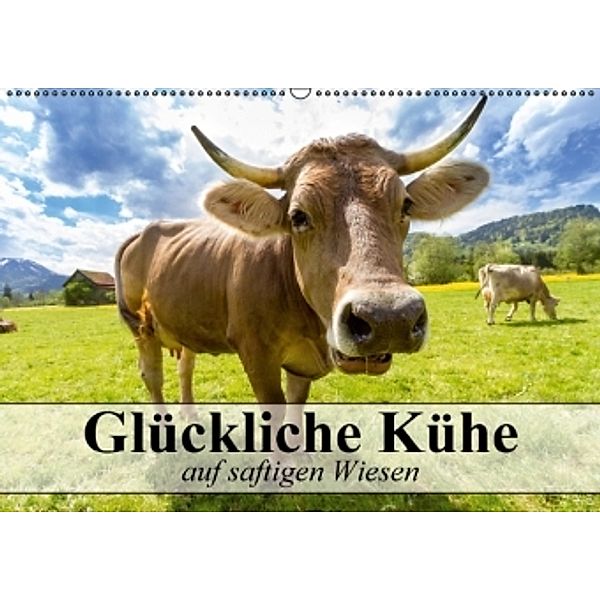 Glückliche Kühe auf saftigen Wiesen (Wandkalender 2016 DIN A2 quer), Elisabeth Stanzer