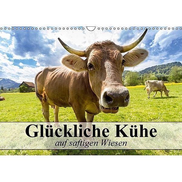 Glückliche Kühe auf saftigen Wiesen (Wandkalender 2017 DIN A3 quer), Elisabeth Stanzer