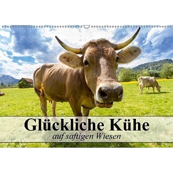 Glückliche Kühe auf saftigen Wiesen (Wandkalender 2017 DIN A2 quer), Elisabeth Stanzer