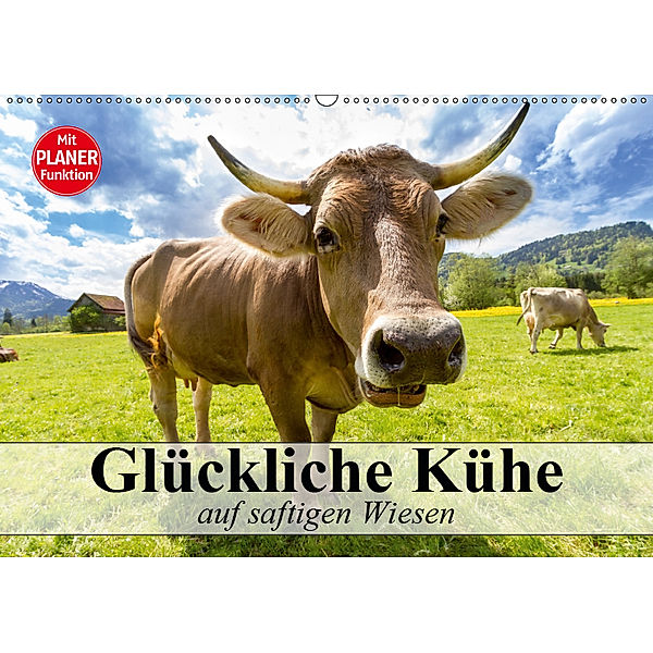 Glückliche Kühe auf saftigen Wiesen (Wandkalender 2019 DIN A2 quer), Elisabeth Stanzer