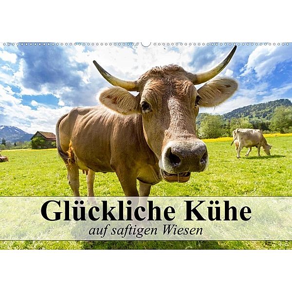 Glückliche Kühe auf saftigen Wiesen (Wandkalender 2023 DIN A2 quer), Elisabeth Stanzer