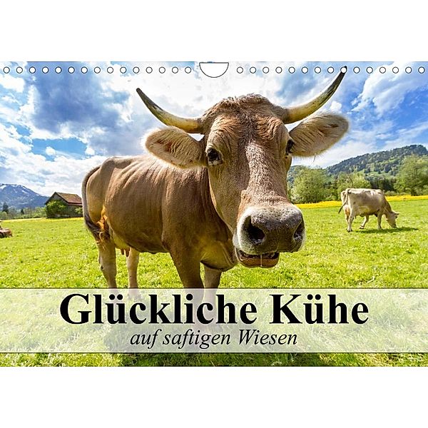 Glückliche Kühe auf saftigen Wiesen (Wandkalender 2023 DIN A4 quer), Elisabeth Stanzer