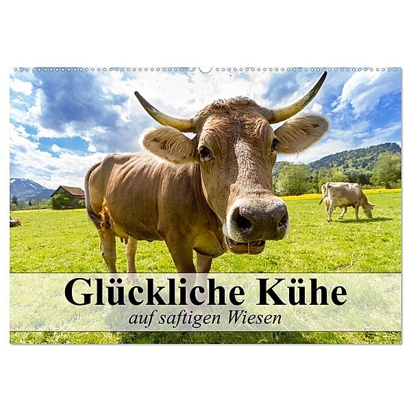 Glückliche Kühe auf saftigen Wiesen (Wandkalender 2024 DIN A2 quer), CALVENDO Monatskalender, Elisabeth Stanzer