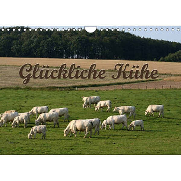 Glückliche Kühe (Wandkalender 2022 DIN A4 quer), Antje Lindert-Rottke