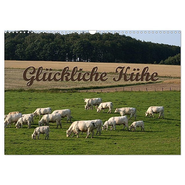 Glückliche Kühe (Wandkalender 2024 DIN A3 quer), CALVENDO Monatskalender, Antje Lindert-Rottke