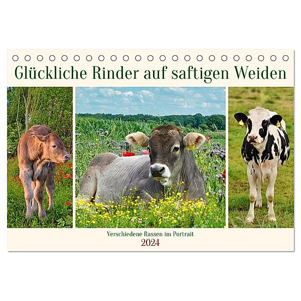Glückliche Rinder auf saftigen Weiden (Tischkalender 2024 DIN A5 quer), CALVENDO Monatskalender, Claudia Kleemann