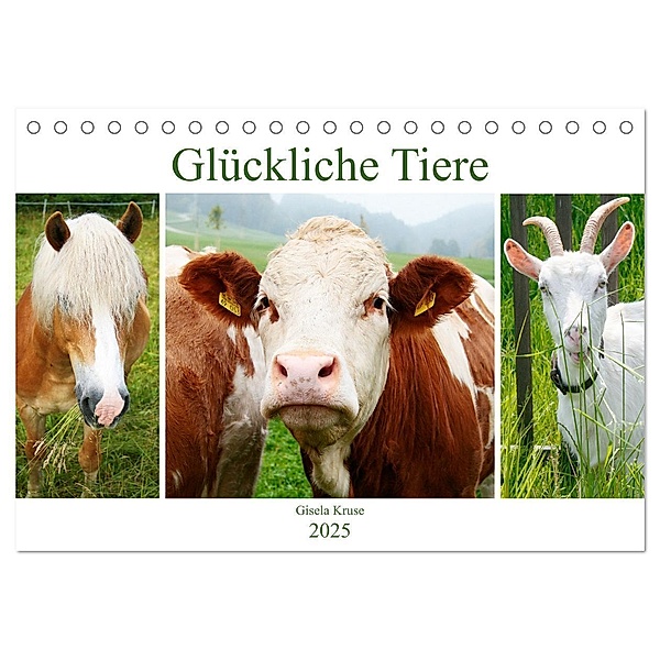 Glückliche Tiere (Tischkalender 2025 DIN A5 quer), CALVENDO Monatskalender, Calvendo, Gisela Kruse
