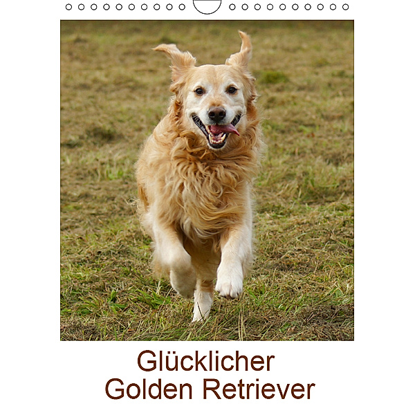 Glücklicher Golden Retriever (Wandkalender 2019 DIN A4 hoch), Kattobello