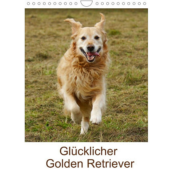 Glücklicher Golden Retriever (Wandkalender 2022 DIN A4 hoch), Kattobello