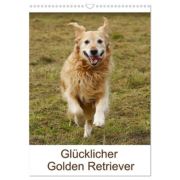 Glücklicher Golden Retriever (Wandkalender 2024 DIN A3 hoch), CALVENDO Monatskalender, Kattobello