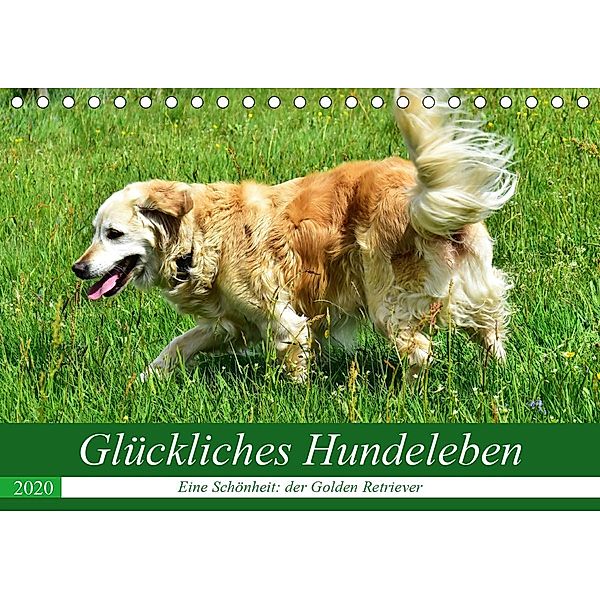 Glückliches Hundeleben (Tischkalender 2020 DIN A5 quer), Jean-Louis Glineur