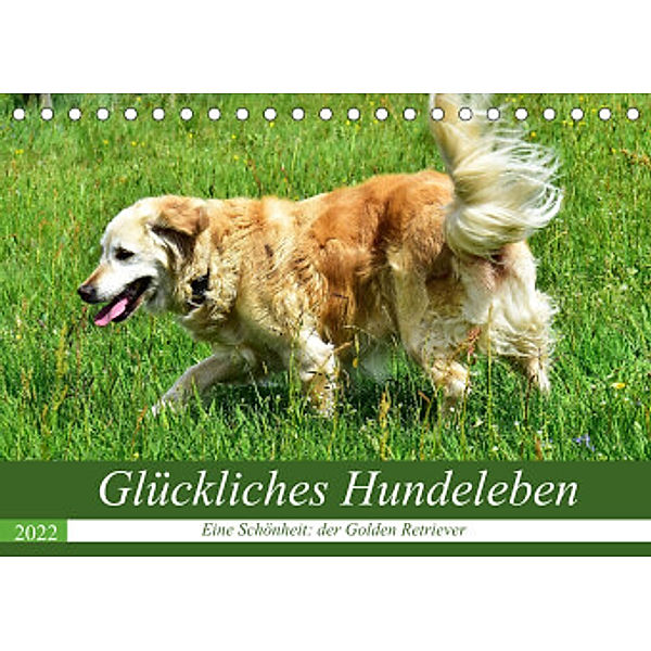 Glückliches Hundeleben (Tischkalender 2022 DIN A5 quer), Jean-Louis Glineur