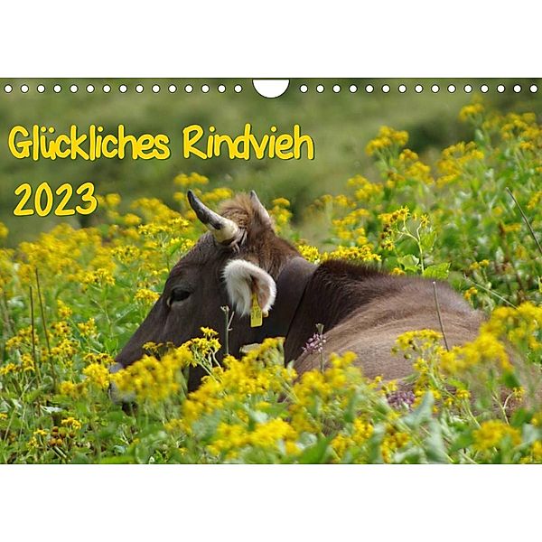 Glückliches Rindvieh 2023 (Wandkalender 2023 DIN A4 quer), Sebastian Güttler