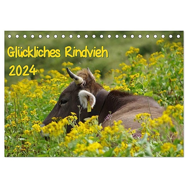 Glückliches Rindvieh 2024 (Tischkalender 2024 DIN A5 quer), CALVENDO Monatskalender, Sebastian Güttler