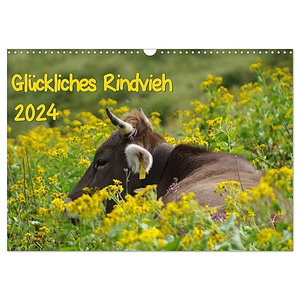Glückliches Rindvieh 2024 (Wandkalender 2024 DIN A3 quer), CALVENDO Monatskalender, Sebastian Güttler