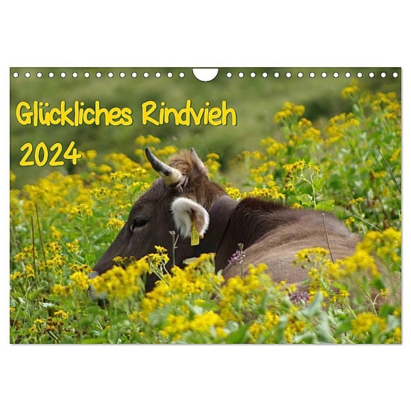 Glückliches Rindvieh 2024 (Wandkalender 2024 DIN A4 quer), CALVENDO Monatskalender, Sebastian Güttler