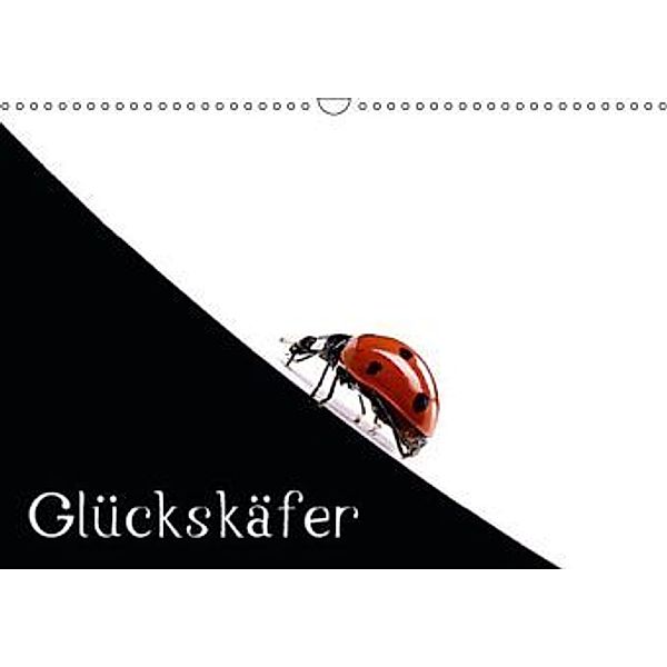 Glückskäfer AT-Version (Wandkalender 2016 DIN A3 quer), Klaus Eppele