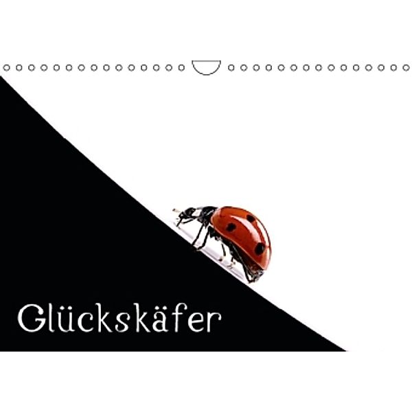 Glückskäfer / CH-Version (Wandkalender 2015 DIN A4 quer), Klaus Eppele