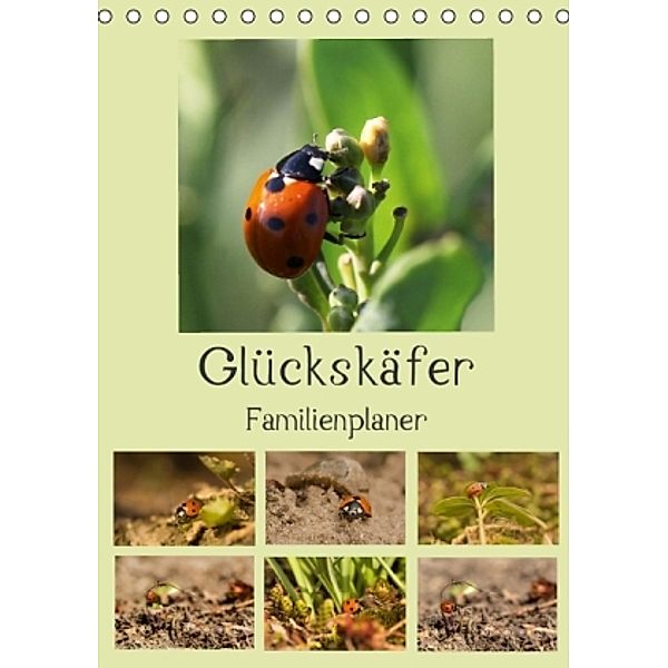 Glückskäfer / Familienplaner (Tischkalender 2015 DIN A5 hoch), Andrea Potratz