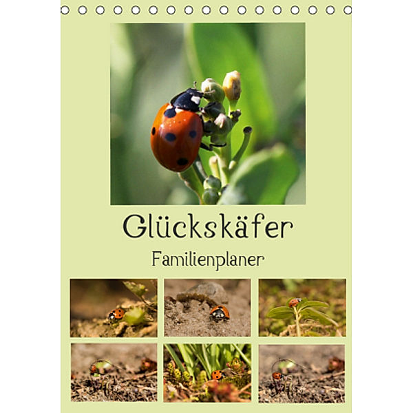 Glückskäfer / Familienplaner (Tischkalender 2021 DIN A5 hoch), Andrea Potratz