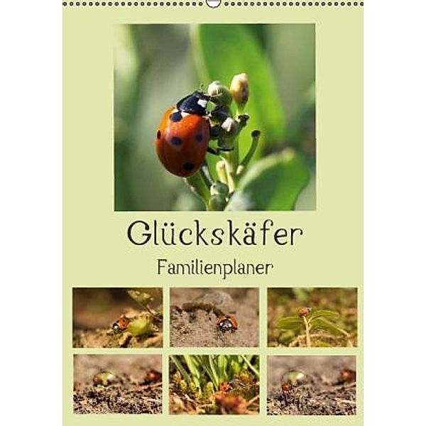 Glückskäfer / Familienplaner (Wandkalender 2016 DIN A2 hoch), Andrea Potratz